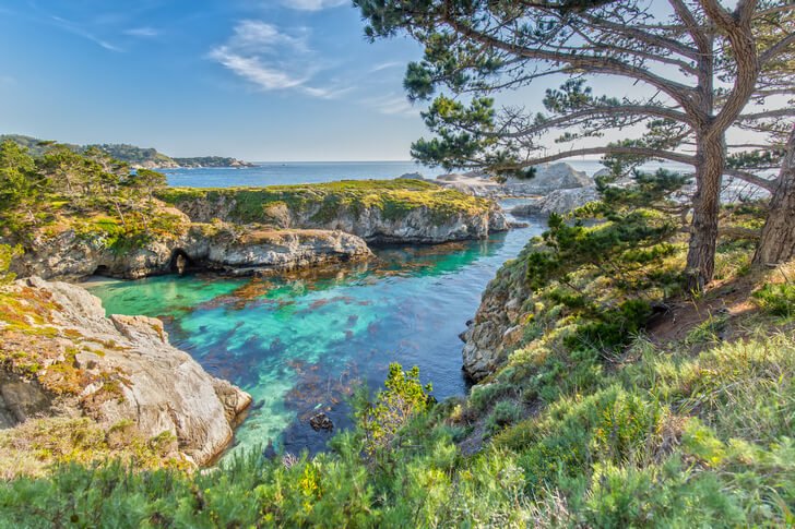 Rezerwat Point Lobos