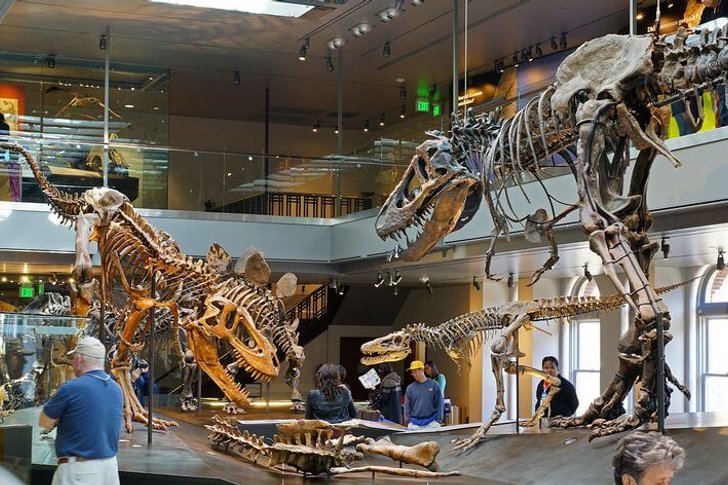 Natuurhistorisch museum van Los Angeles