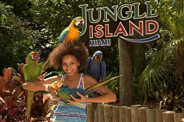 Parque de diversões Jungle Island