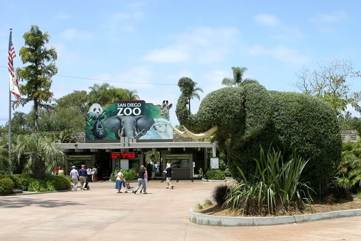 Zoo w San Diego