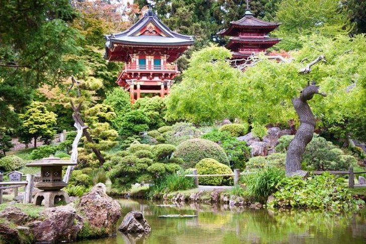 Japanese tea garden