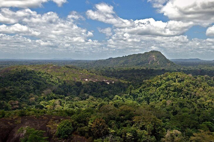 Suriname Central Reserve