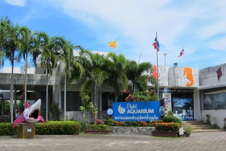 Aquarium de Phuket