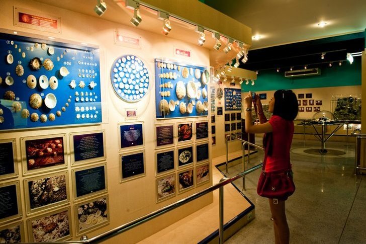 Museu das Conchas