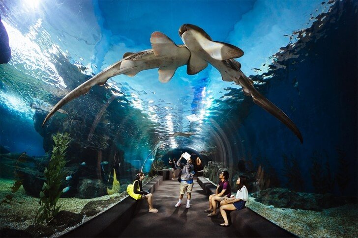 Siam Ocean World-aquarium in Bangkok