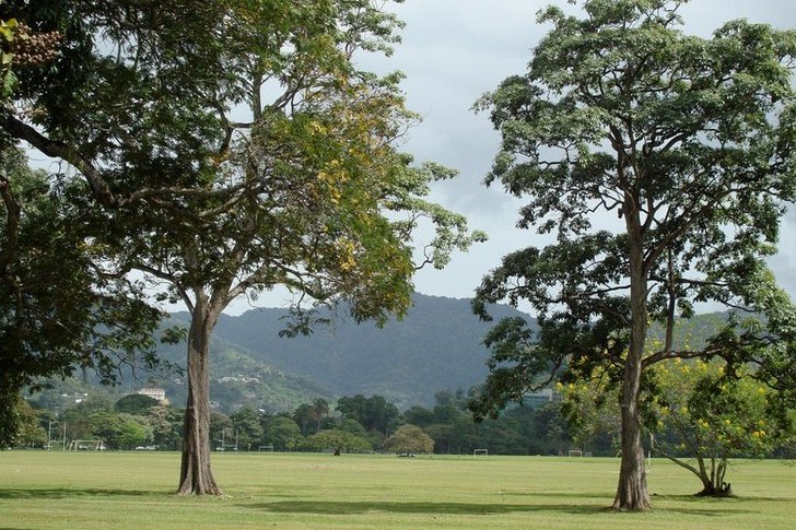 Parco Regina Savana