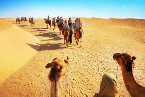 Top 25 things to do in Tunisia