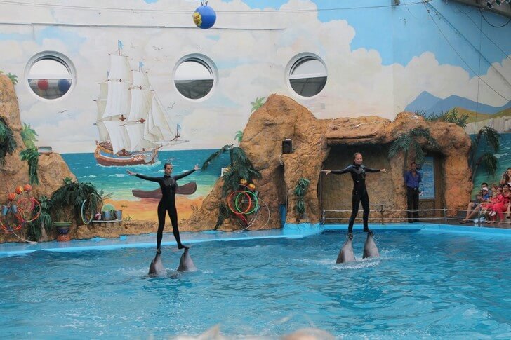 Odessa City Dolphinarium