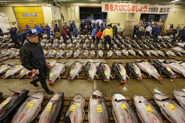 Tsukiji-Markt